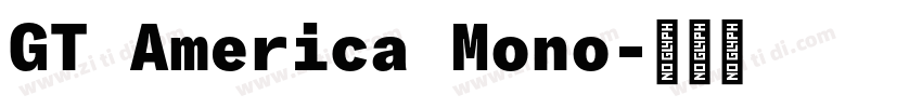 GT America Mono字体转换